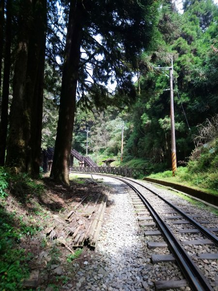 森林鐵道543291