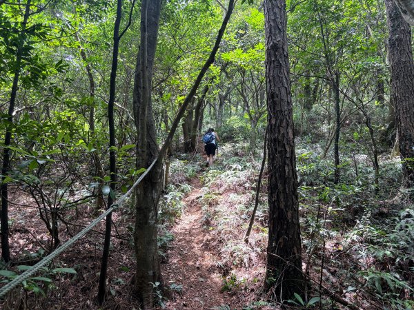 三段崎古道2835524