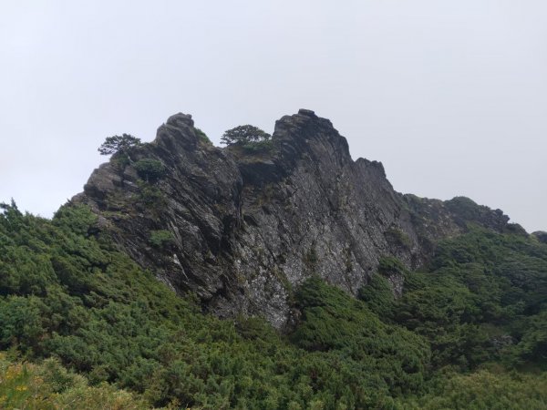 【合歡群峰4】~合歡主峰-201910091694637