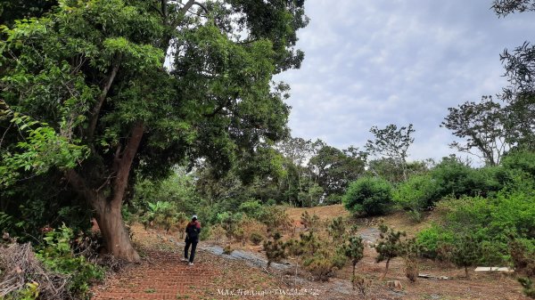 《彰化》古意人文｜員林18觀音O繞大峰巷挑水古道202504122759459