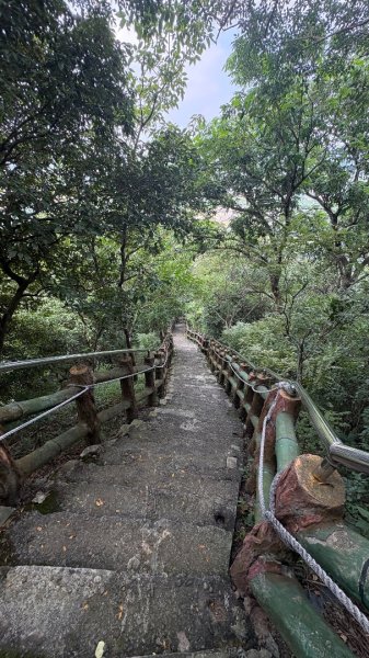 941（旗尾山2905665