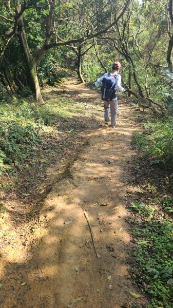 2025-0204 鶯歌_大凍山_三角埔頂山_迴龍2707862