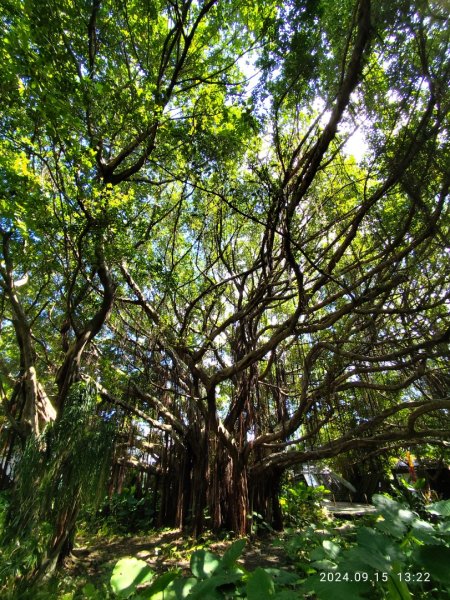 大安森林公園、劍潭公園、大港墘公園【走路趣尋寶】【臺北健走趣】2594676