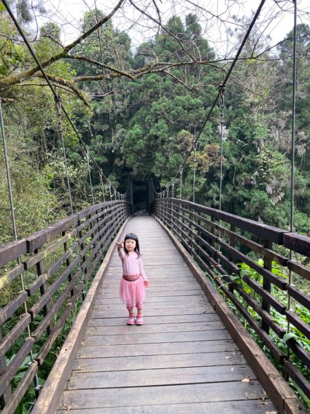 20191109貓仔們之溪頭森林步道探索757219