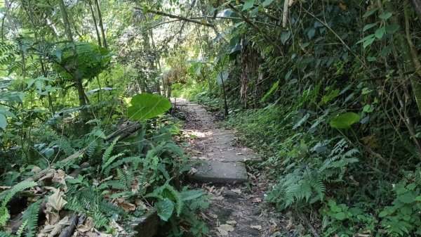 20251004 馬那邦山 - 珠湖 登山口2904874