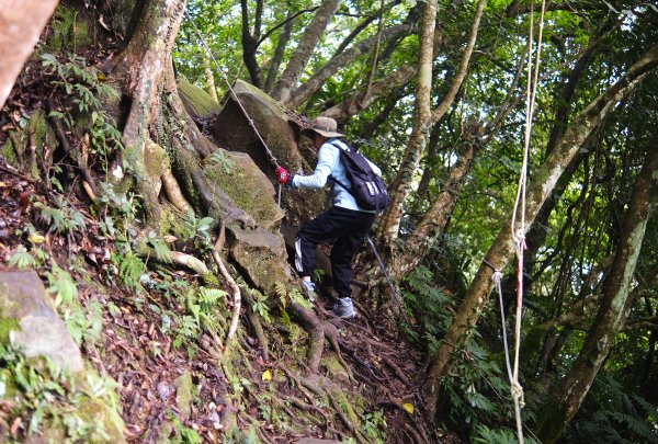 打鐵寮古道.白石山2752916