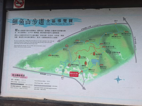 台東鯉魚山11508083115824