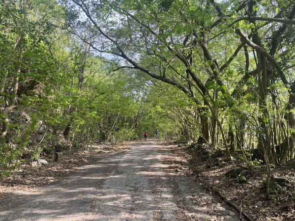 [踢不爛大地遊戲-10/10] 2024_0505 北柴山登山步道(北壽山)2496855