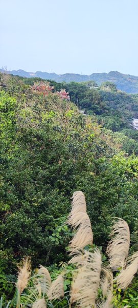 基隆．獅球嶺步道202601172994171