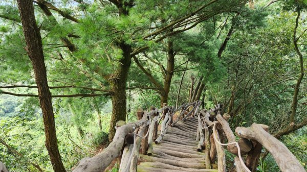 郡大山，郡大山北峰，望鄉山，白冷山，頭嵙山，黑山北峰，大坑4號，大坑3號，挑水古道，快官健行步道2299199