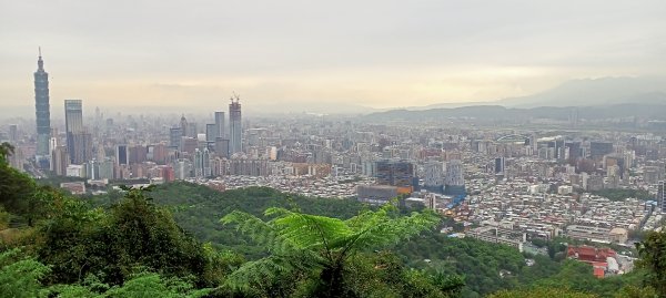 【臺北大縱走 6】石階綿延的南港山縱走親山步道1340813
