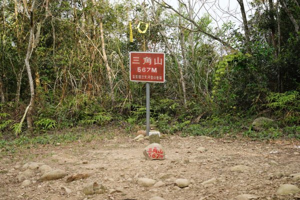 苗栗 銅鑼 三角山、長坑山、雙峰山、員屯山2456213