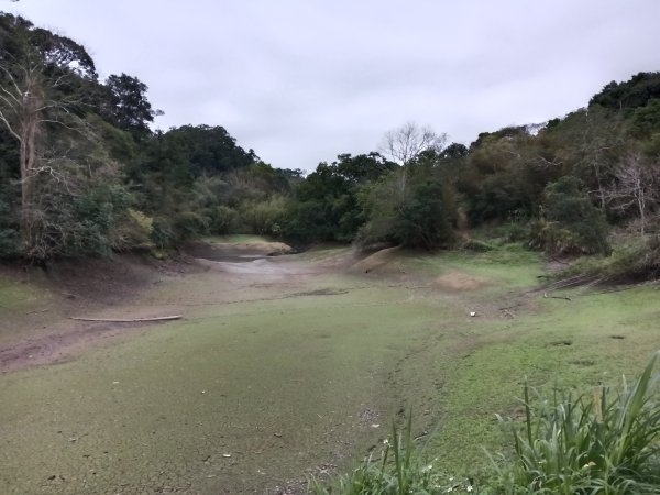 寶山鄉寶山水庫(寶山東峰+中峰+中西峰+西峰+西北峰)+尖山O型3012523
