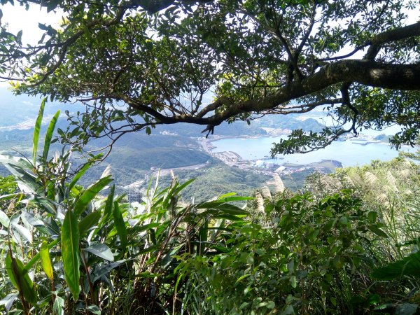 基隆山 金瓜石地質公園 報時山1056041