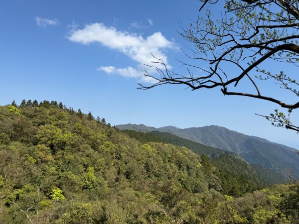 坪林五山縱走 ：九芎根山、金紙崙山、鳥嘴尖山、倒稍楠山、紀州寮山O形2745292