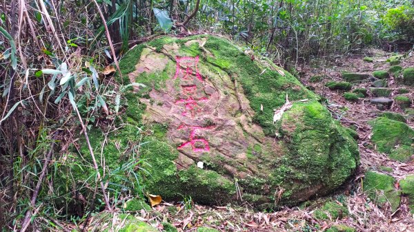 龍虎雙碑縱走2989645