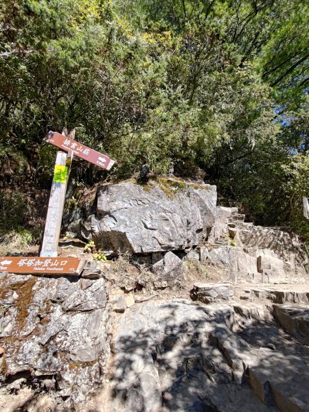 玉山前峰登山山徑2359513