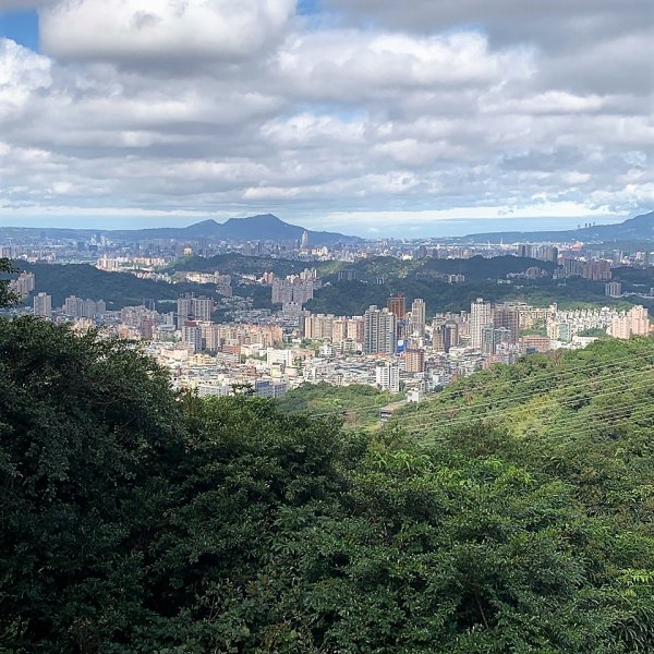 飛龍步道-樟山寺-樟樹步道1265161