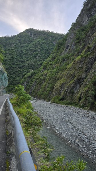 20240629-0630 嘉明湖步道+三叉山+向陽山2619560