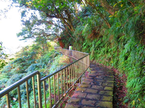 漫步大崎頭步道 一探台北市梯田美景290938