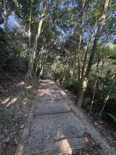 20251004_碧山露營場＿長壽坡＿大崙尾山步道2904725