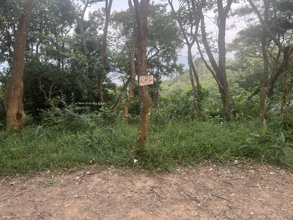 2024_0804 文間山2566407