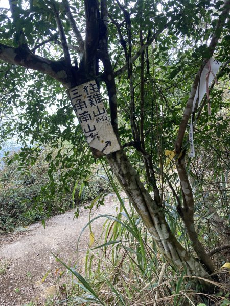 20260214三竹縱走;三腳南山+竹仔尖山3001701