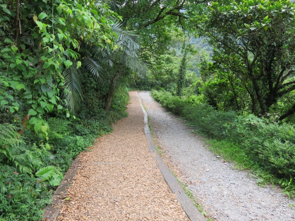 暑假瘋蘭陽~人文山海微旅行49882