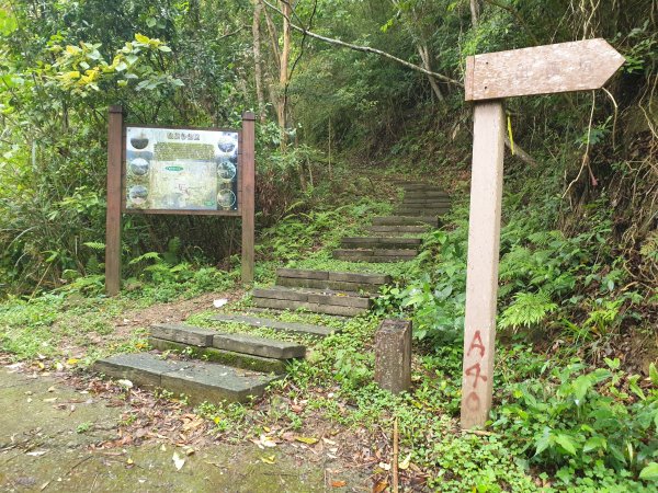 人生之中有點可怕的登山行程......玉女山、金童山及汶水山1552803