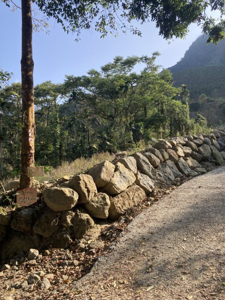 20260219九龍山+崩山+黑石崁山南峰+黑石崁山+凍仔頂山3002554