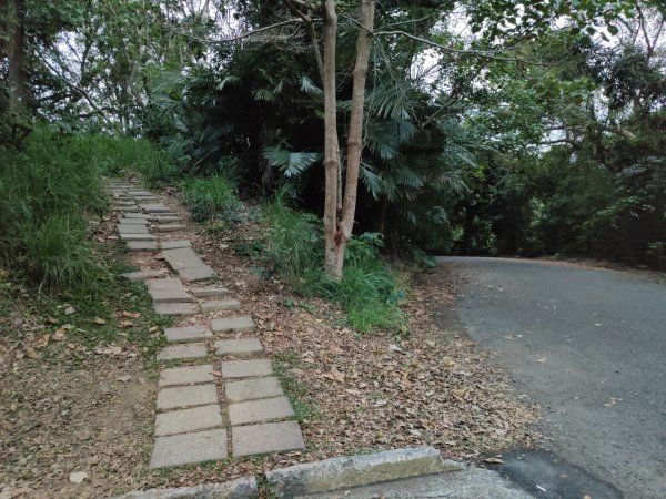 2023.12.23 高雄大崗山2834932