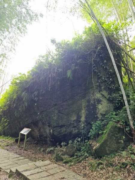 阿里山頂湖步道 - 2024嘉遊好步道．來嘉走走2631672