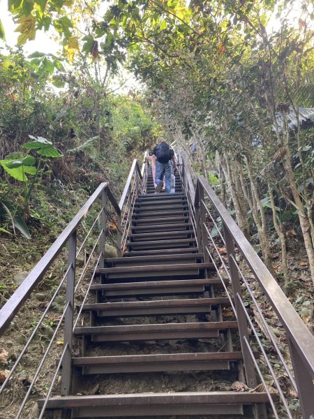 龍過脈森林步道2975681