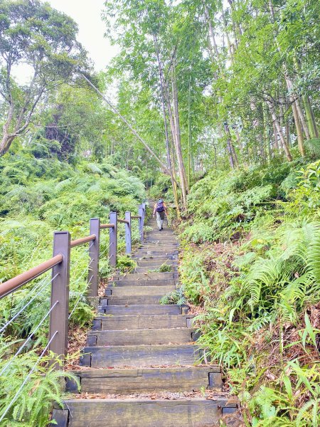 登頂福興山、福興山東峰    2024.8.112570645