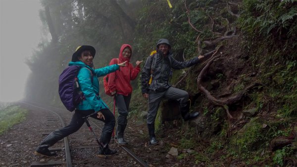 自忠石山引水道縱走681439