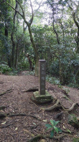 20230120_三峽_鳶山登山步道_五十分山2001598