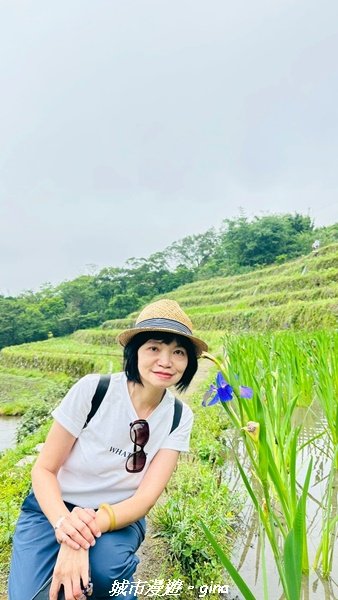 【新北石門】全台唯一火山岩石砌梯田。 嵩山百年梯田阡陌步道2823954