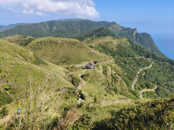 草嶺古道2025 芒花季2932031