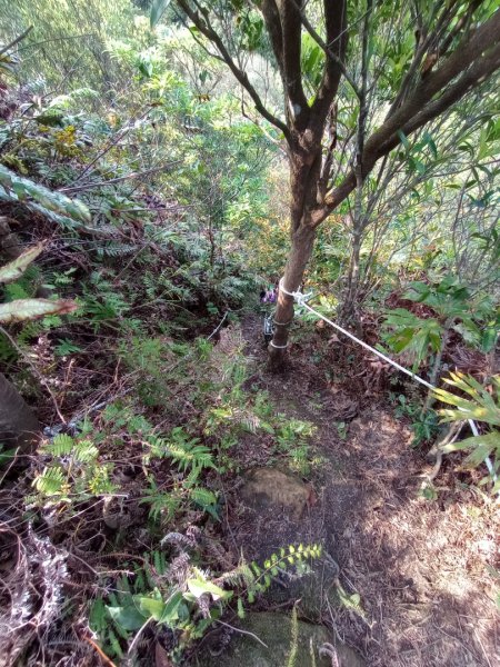 薯榔尖北稜&石筍尖北稜2094806