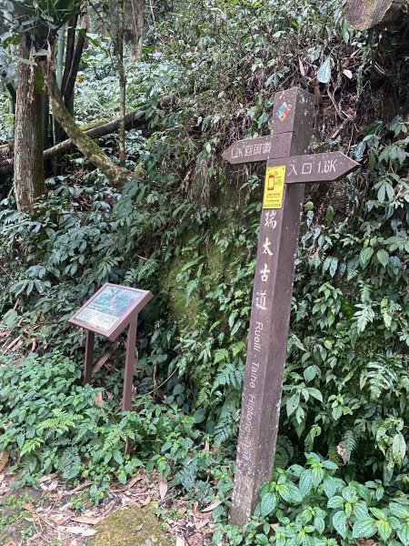 1120329奮瑞古道2643544