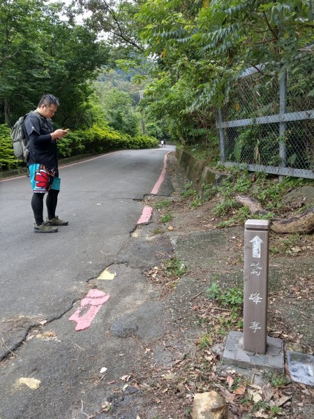 1090501 三峽鳶山1114869