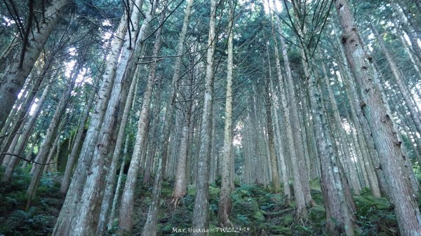 《苗栗》遺世鐵道｜悠遊加里山大坪支線至避難山屋202508222867475