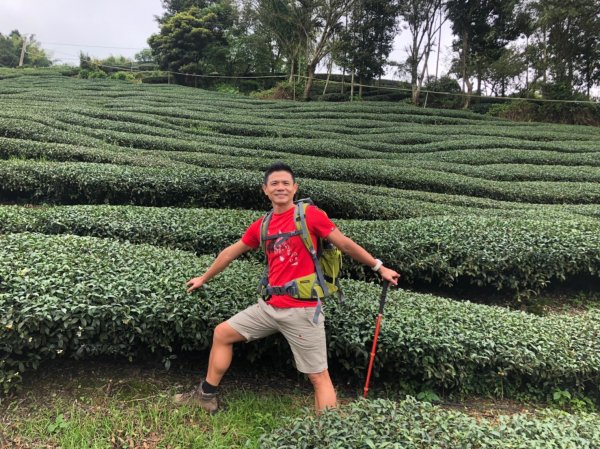 海鼠山.太興飛瀑【茶席.黃頭鷺 這片山林692871