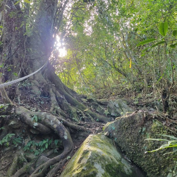 獵人古道連走瓊山2395540