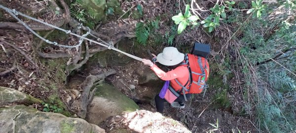 水漾森林、鹿屈山、眠月神木2729641
