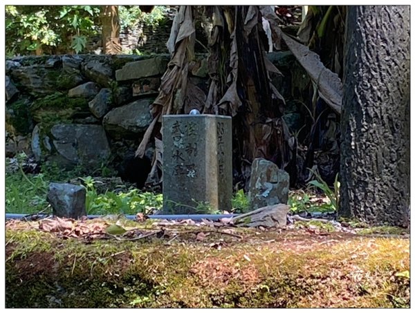 摩摩納爾瀑布 (武界壩秘境)2823596