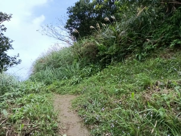 瑞芳區基隆山步道O型3010166