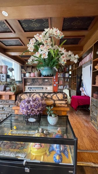 西藏♥️可愛動物🐎人物寫真/拉薩旅拍/美食2903345