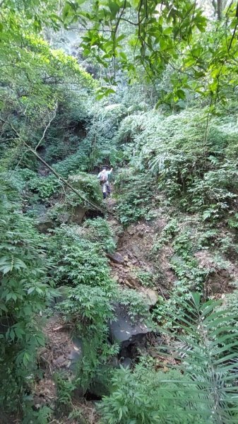 蛇來運轉之蛇年爬蛇山  蛇子形古道-三爪子坑山-蛇子崙山O型2784020