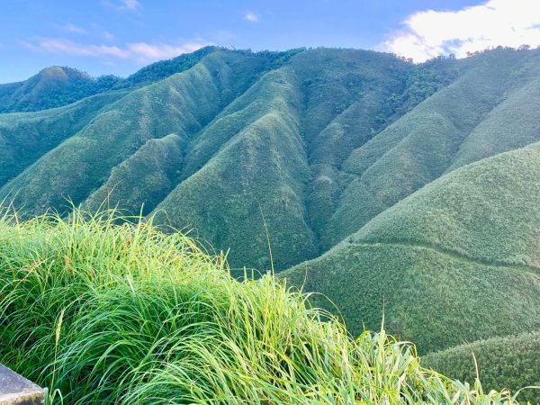 朝聖抹茶 Day 2:晨霧抹茶山色走訪三角崙山/小百岳#833055026